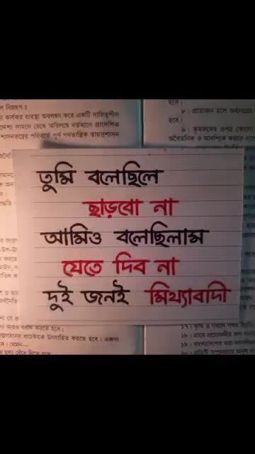 Reel