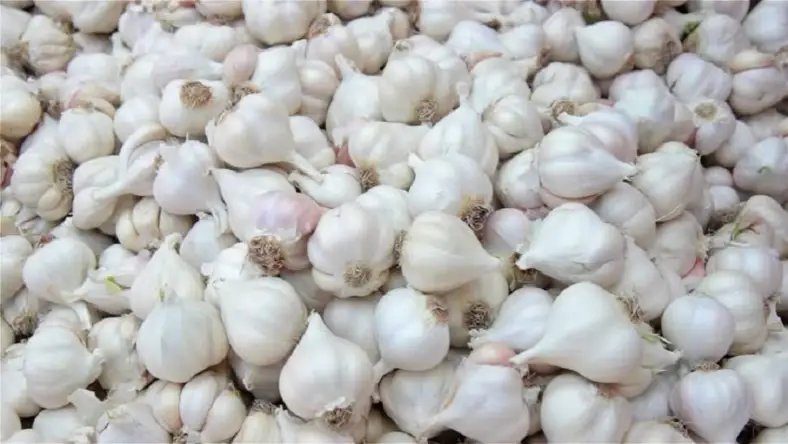 রসুন