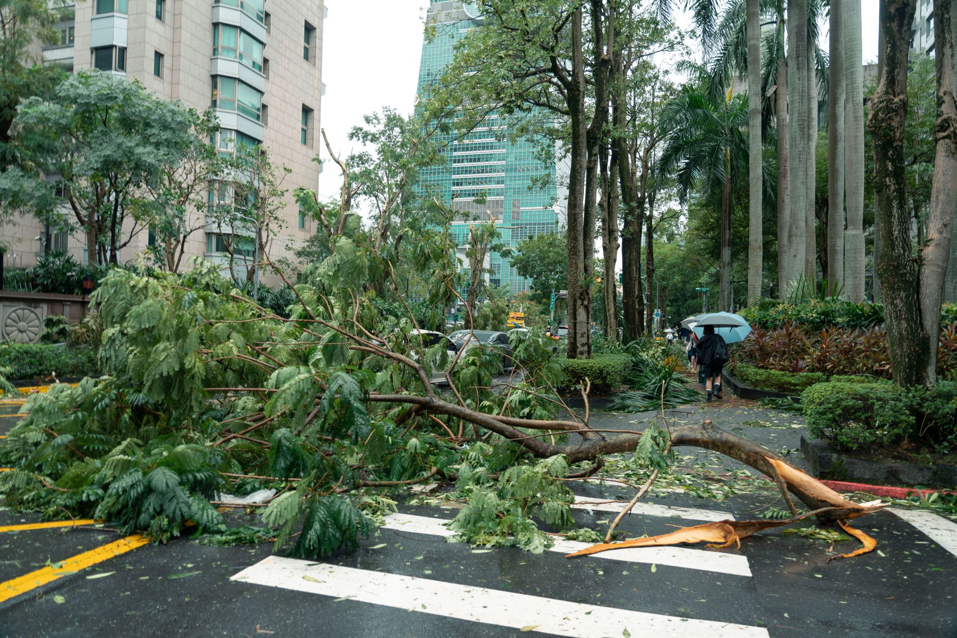 Typhoon Champi kills one and injures more than 500 in Taiwan as it heads to China — বিশেষ বিশ্লেষণ ও গভীর সম্পাদকীয় পর্যালোচনা