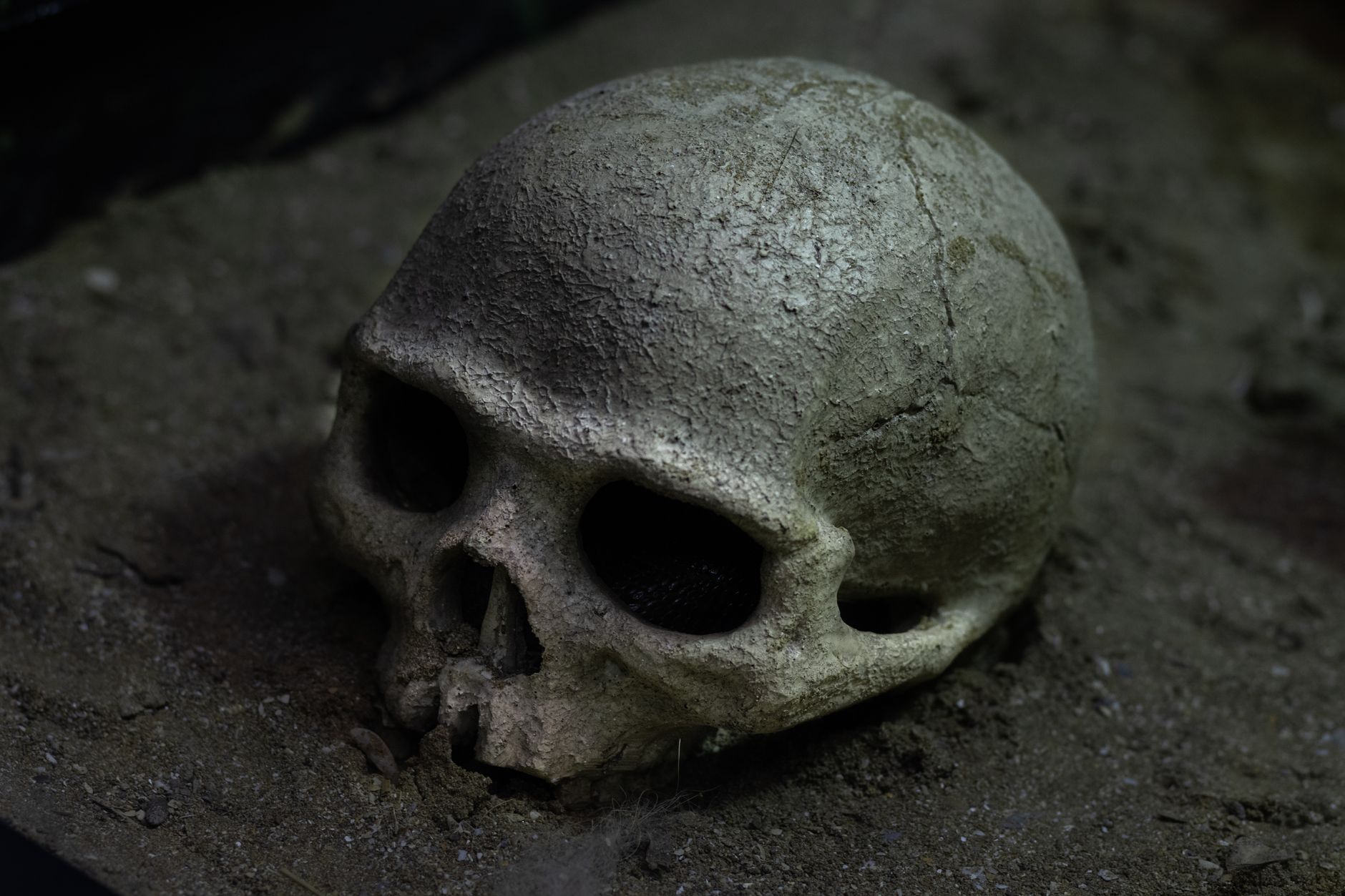 Argentina identifies dozens of victims killed in its ‘Dirty War’ — বিশেষ বিশ্লেষণ ও গভীর সম্পাদকীয় পর্যালোচনা
